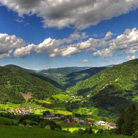 Schönwalde Urlaub Auf 1.000 Meter Hoehe Mit Pool Und Sauna מראה חיצוני תמונה
