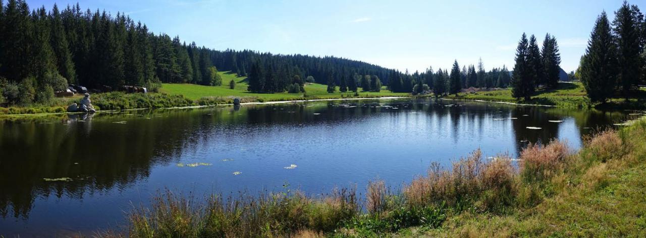 Schönwalde Urlaub Auf 1.000 Meter Hoehe Mit Pool Und Sauna מראה חיצוני תמונה