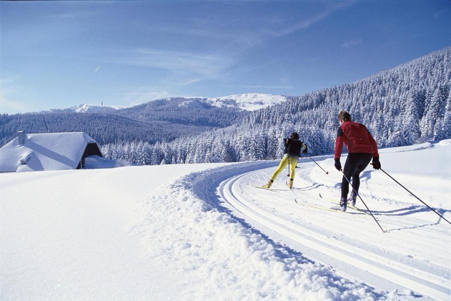 Schönwalde Urlaub Auf 1.000 Meter Hoehe Mit Pool Und Sauna מראה חיצוני תמונה